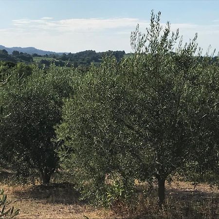 Gite Au Coeur Du Pays Cathare Verzeille 외부 사진