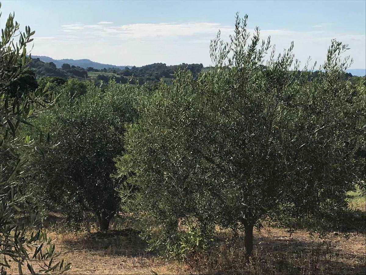 Gite Au Coeur Du Pays Cathare Verzeille 외부 사진